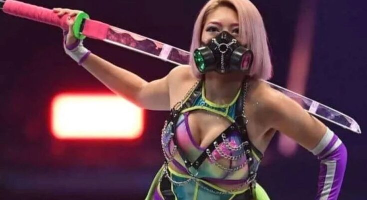 Muere luchadora japonesa Hana Kimura