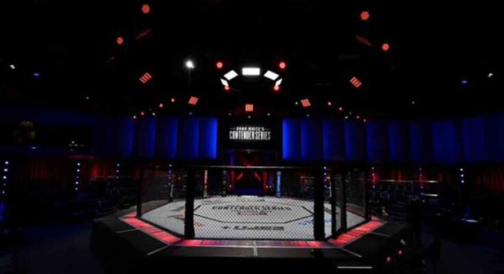 UFC vuelve a Las Vegas con función estelar