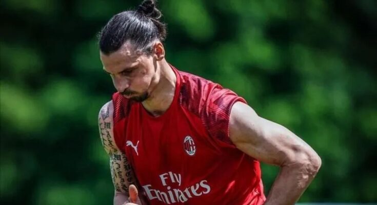 Zlatan Ibrahimovic será baja por 10 días