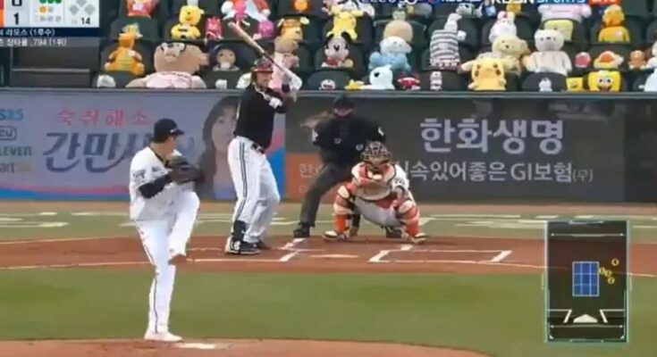 Corea del Sur ”llena” con peluches estadios de béisbol