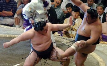 Luchadores de sumo salvan a mujer de morir ahogada