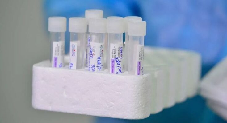 Comienza la Liga MX en medio de brotes de covid-19 entre los equipos Comienza la Liga MX en medio de brotes de covid-19 entre los equipos