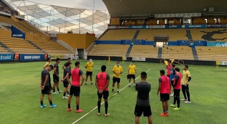 Dorados anuncia 12 positivos previo a la Liga de Expansión
