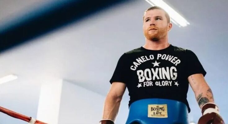 Revelan posibles rivales para “Canelo”