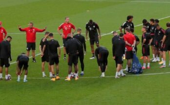 Bayern Múnich despide a entrenador acusado de racismo