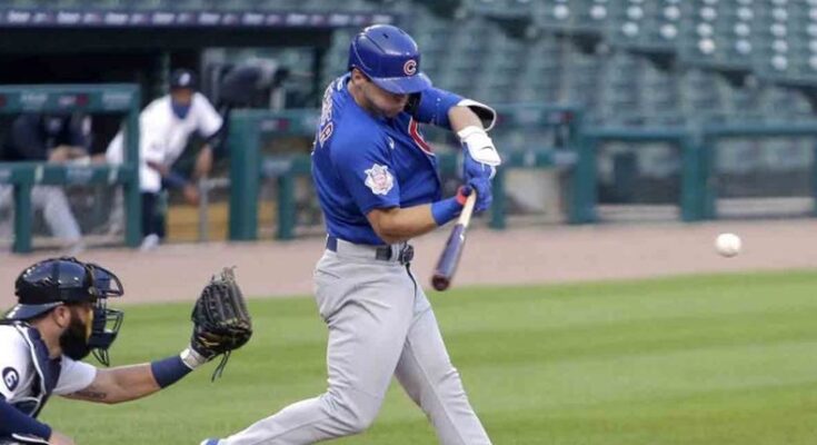 Cachorros alcanzan los 11 mil triunfos