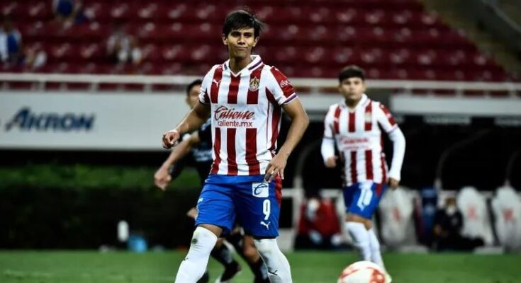 Se le durmió el gallo a Chivas