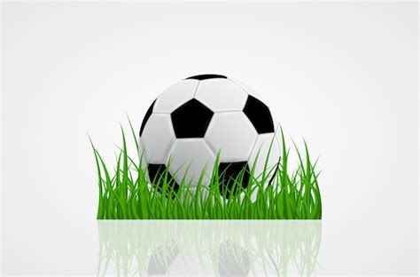 Césped y balón de fútbol